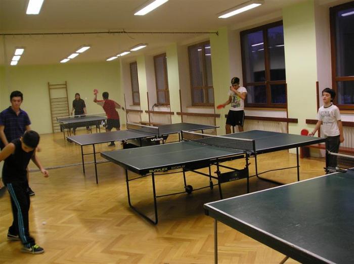 Stolní tenis